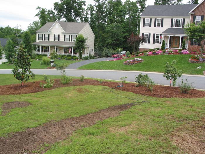landscaping4