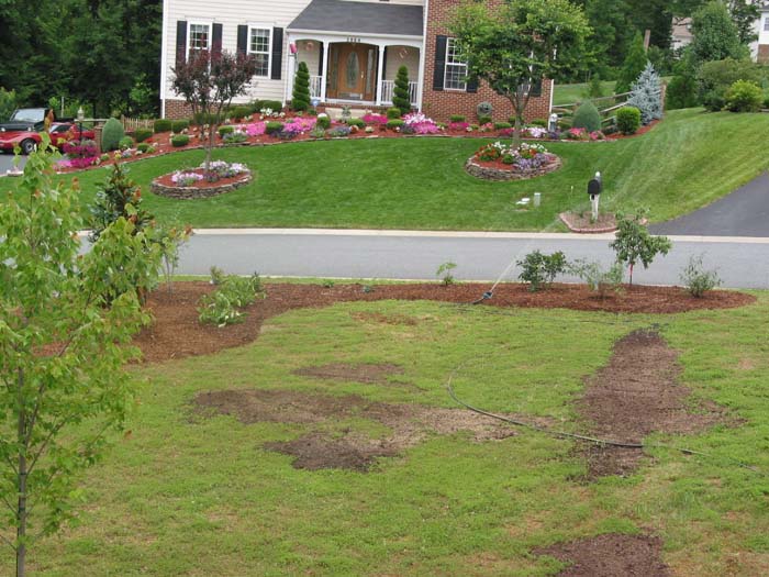 landscaping5