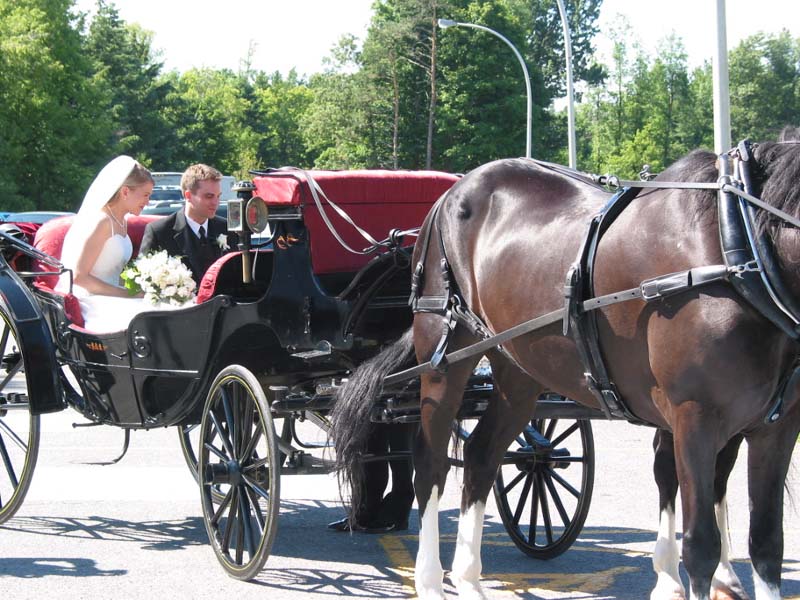Ceremony27