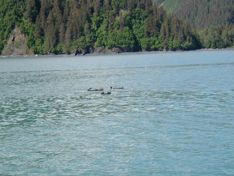 alaska33