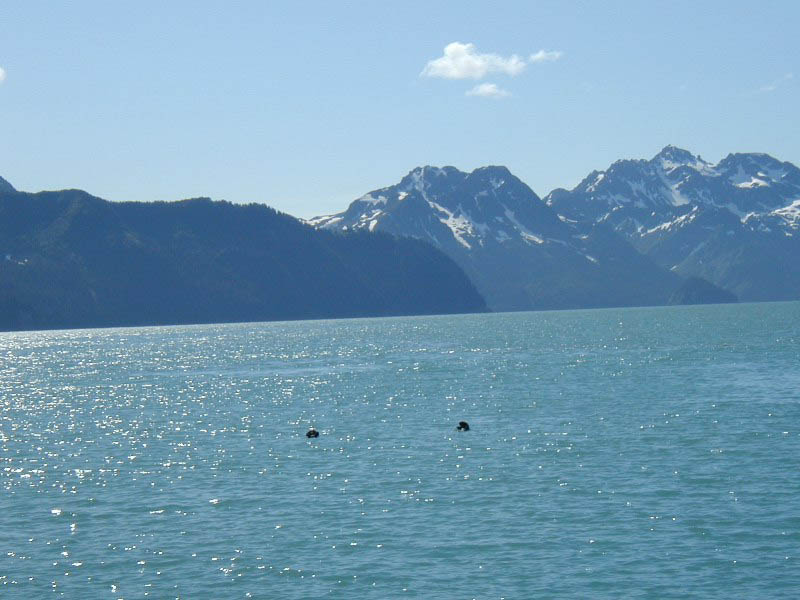 alaska34