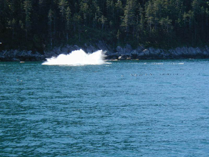 alaska37