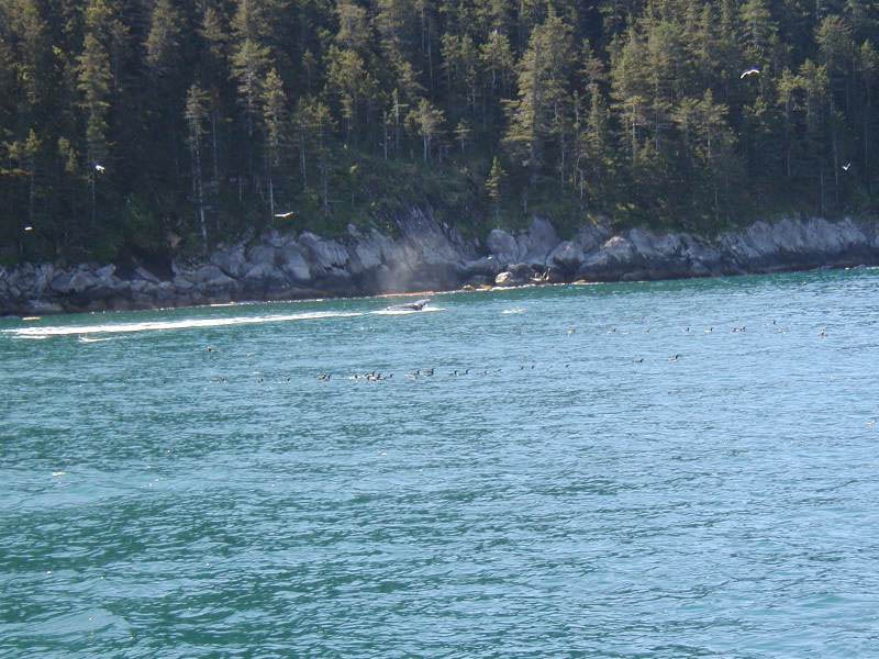 alaska38