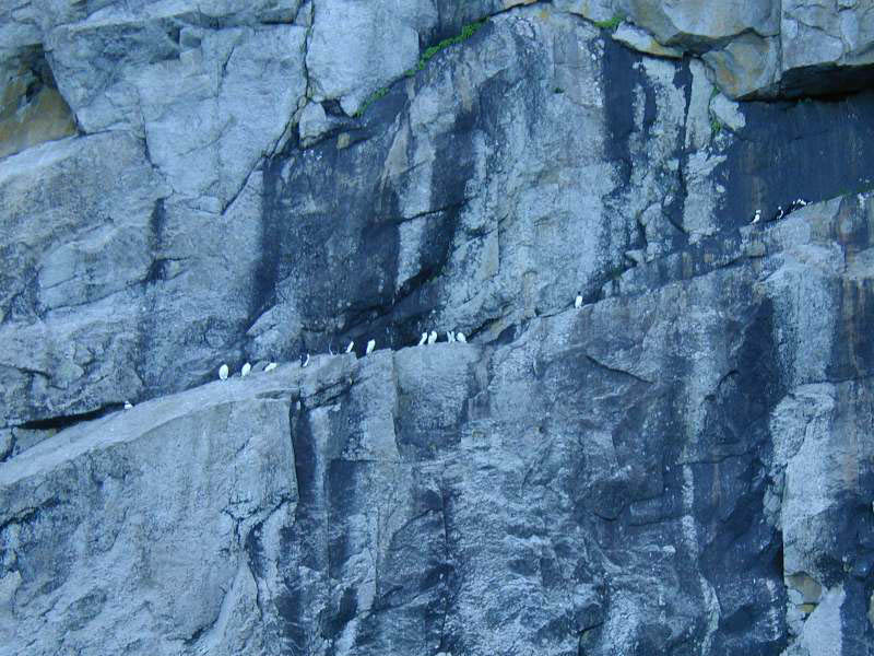 alaska47