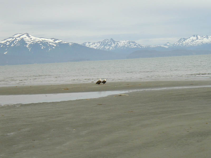 alaska60