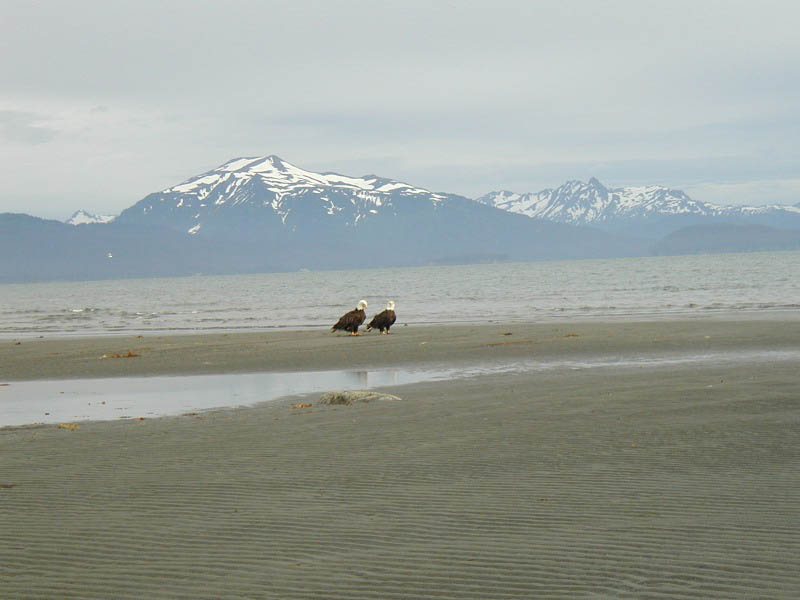 alaska61