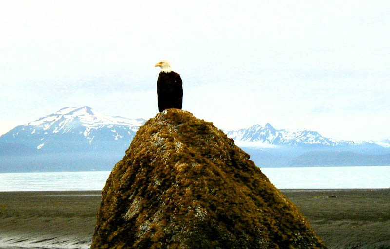alaska62