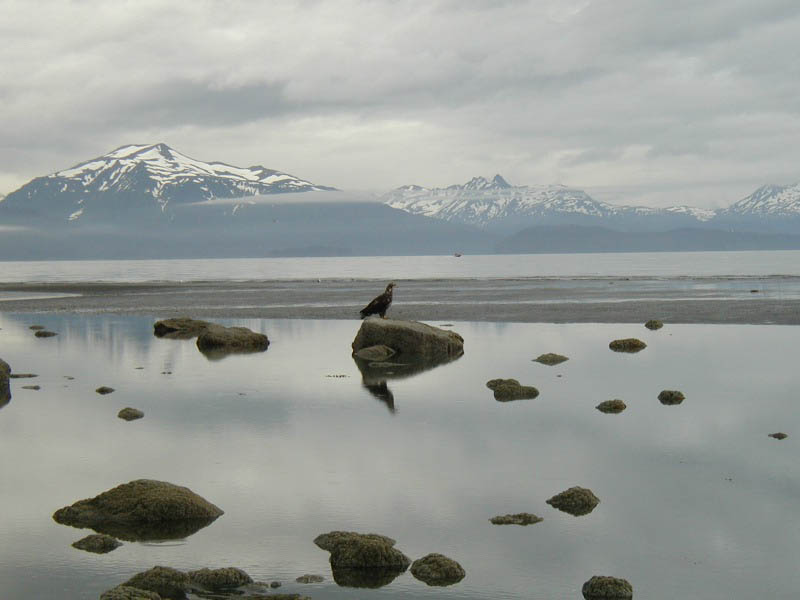 alaska66