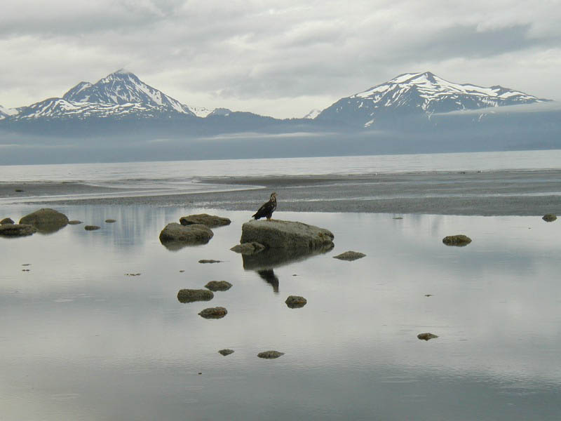 alaska67