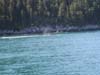 alaska38