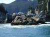 alaska49