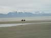 alaska61