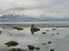 alaska66
