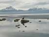 alaska67